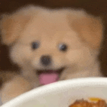 昆明西山教育体育