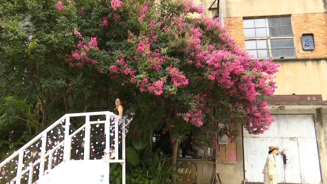 8099999街头巷尾微信