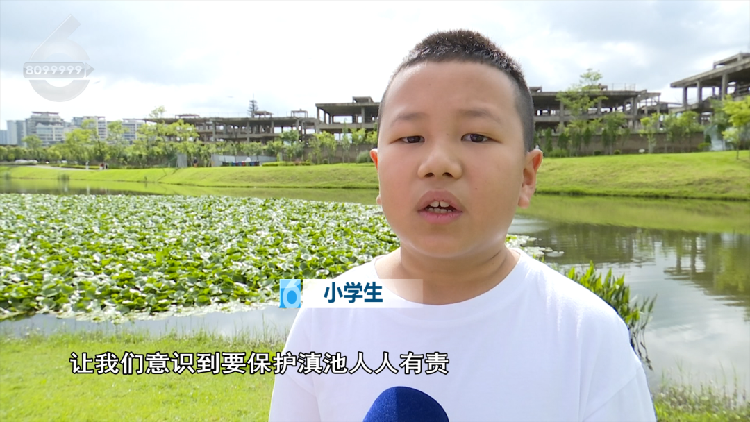 8099999街头巷尾微信