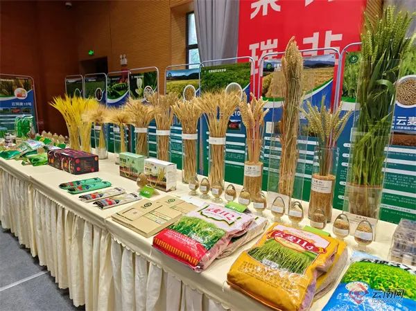 美丽云南微科普