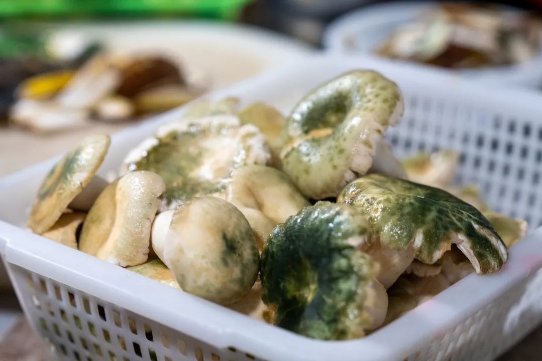 晋宁 诗意的栖居地