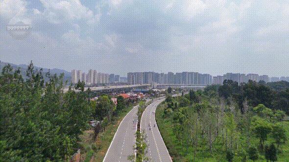 8099999街头巷尾微信