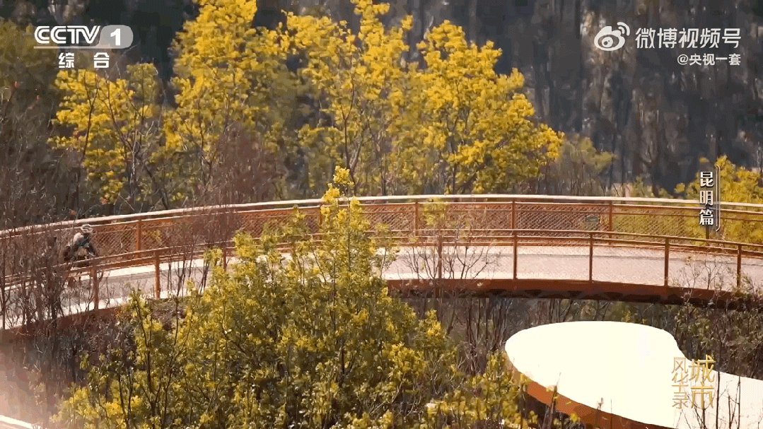 昆明广播电视台