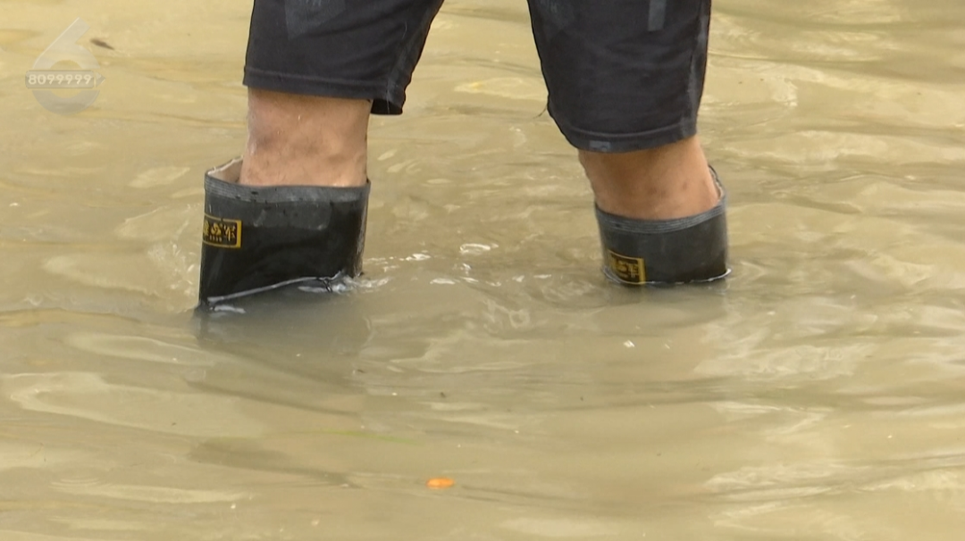 8099999街头巷尾微信