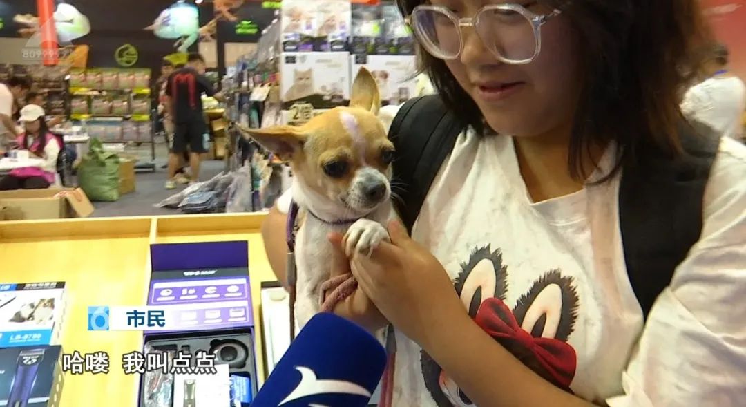 8099999街头巷尾微信