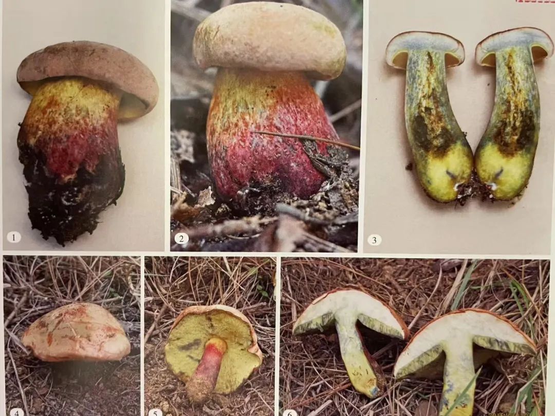 云南省第三人民医院