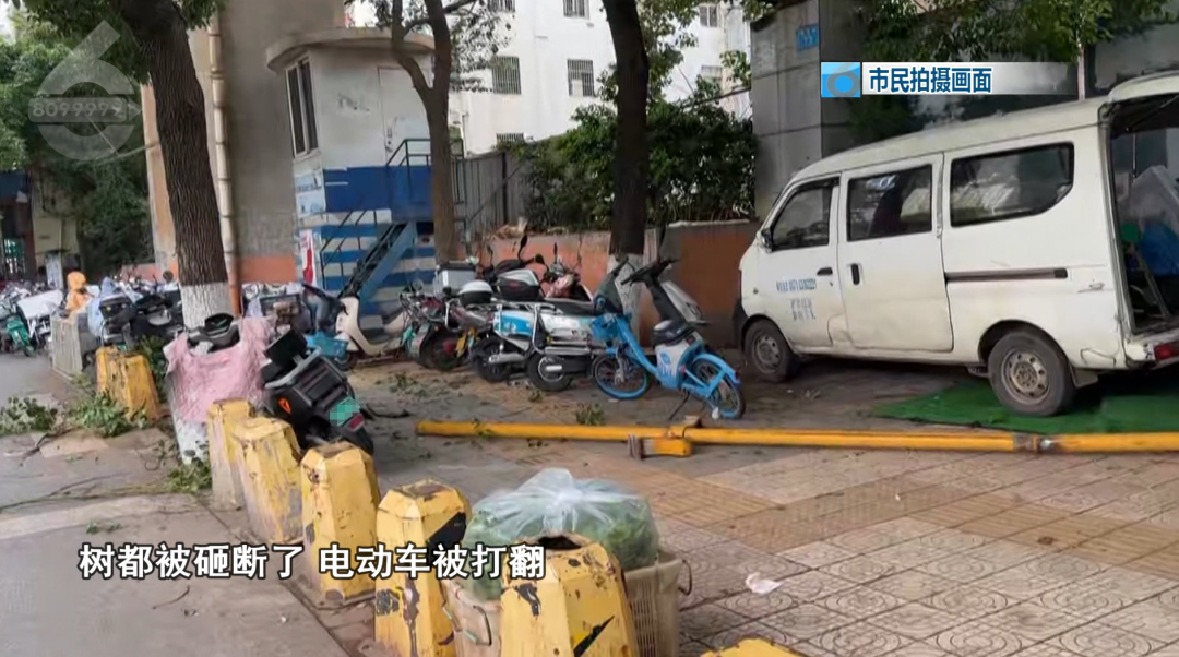 8099999街头巷尾微信