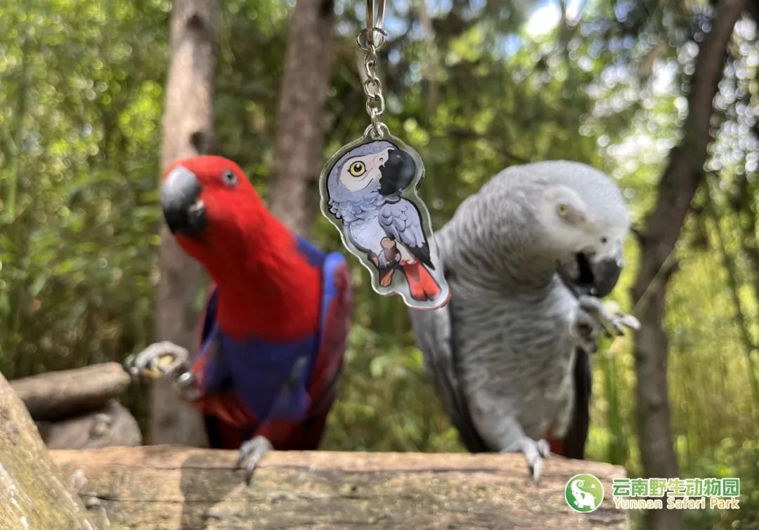 云南野生动物园