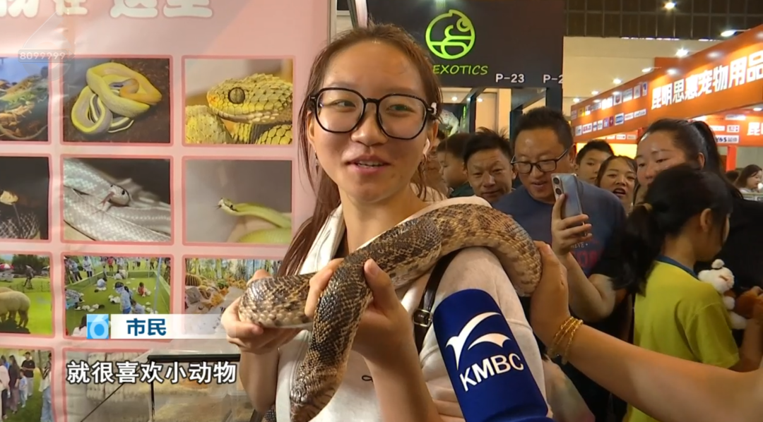 8099999街头巷尾微信