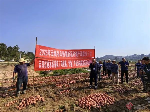 美丽云南微科普