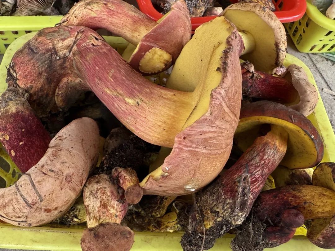 晋宁 诗意的栖居地