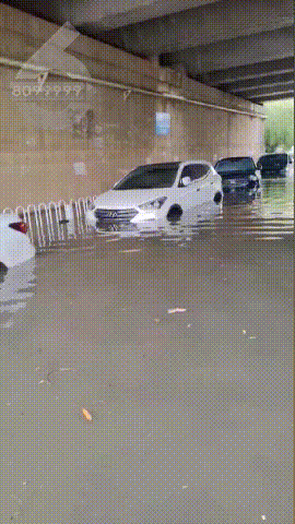8099999街头巷尾微信