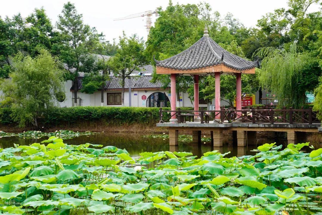 晋宁 诗意的栖居地