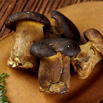 昆明市中医医院