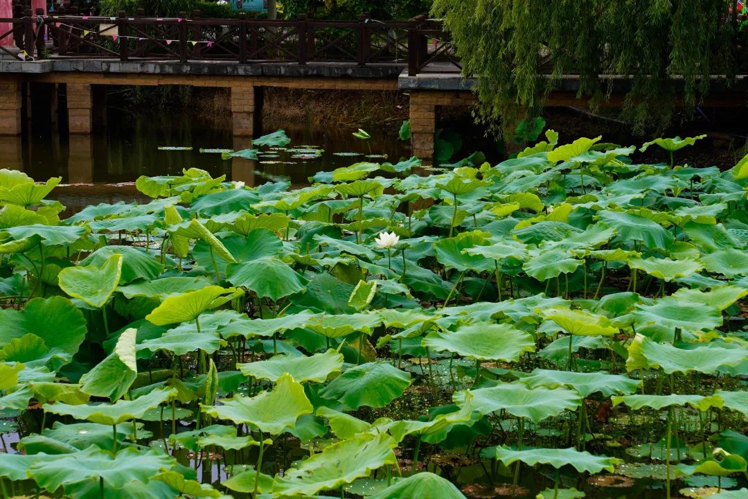 晋宁 诗意的栖居地