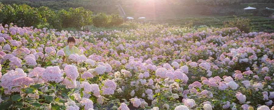 昆明阳宗海风景名胜区