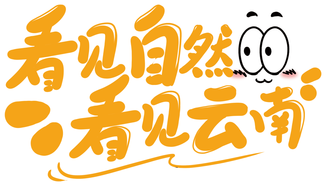 云南野生动物园