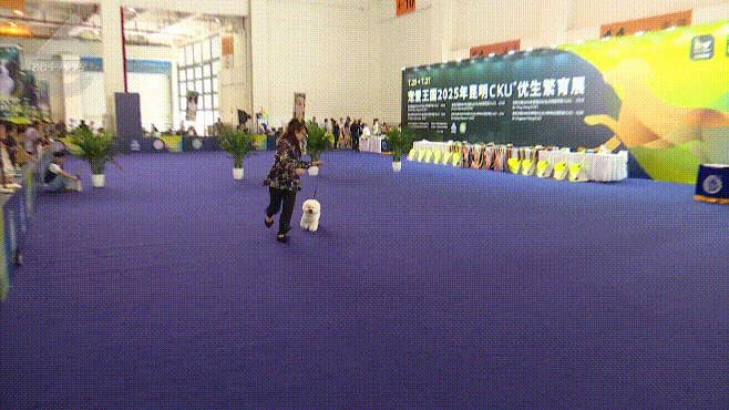 8099999街头巷尾微信