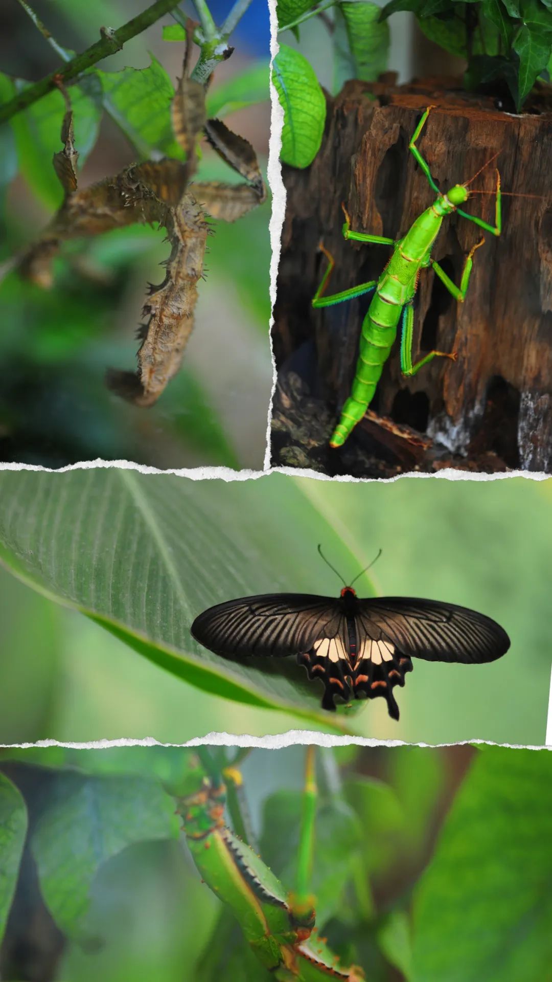 昆明市金殿名胜区