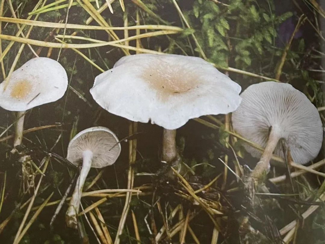 云南省第三人民医院