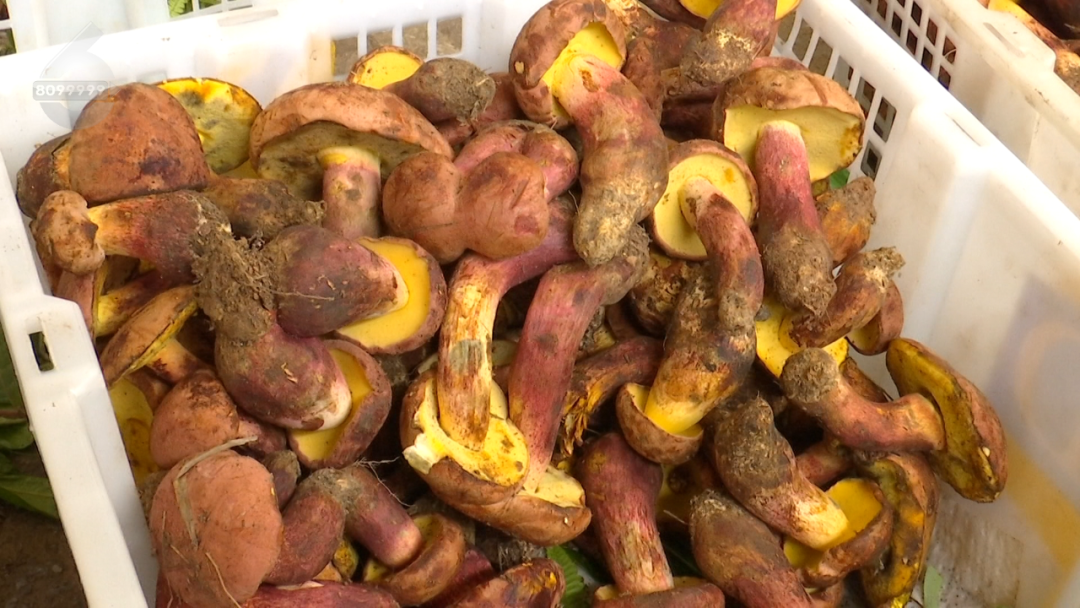 8099999街头巷尾微信