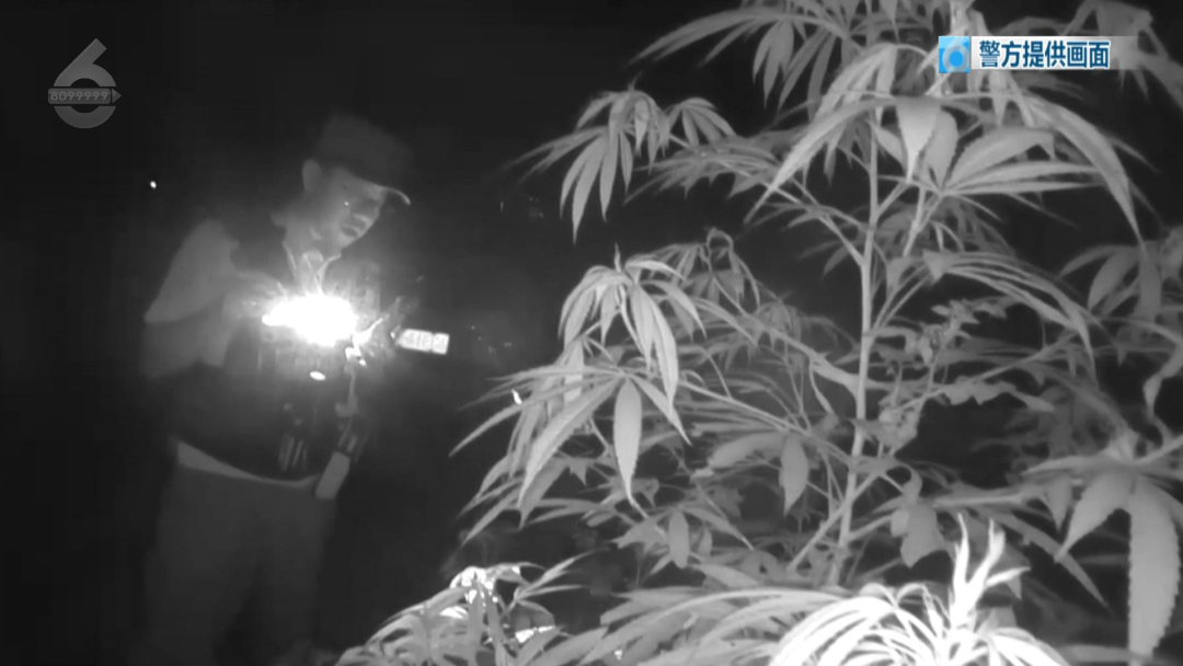 8099999街头巷尾微信