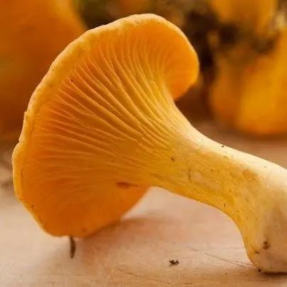 昆明市中医医院