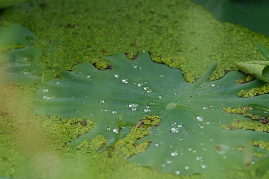 晋宁 诗意的栖居地
