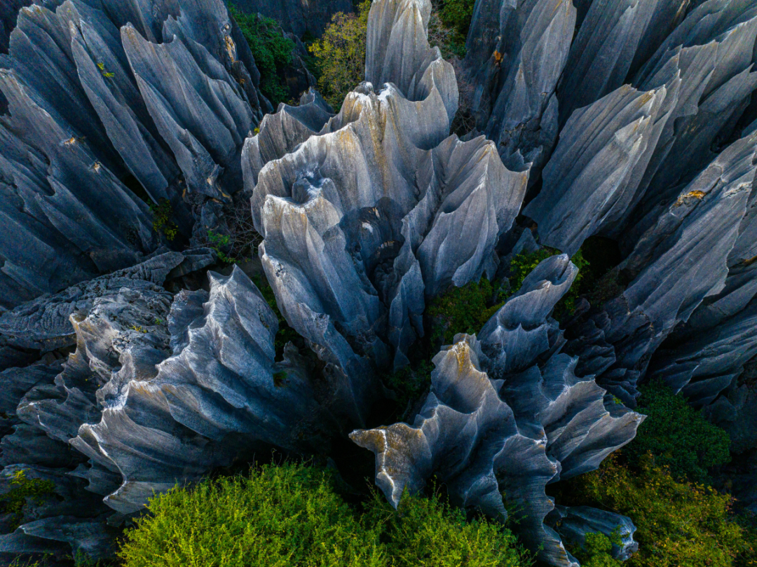 昆明广播电视台