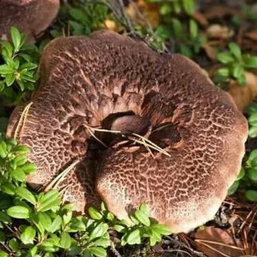 昆明市中医医院