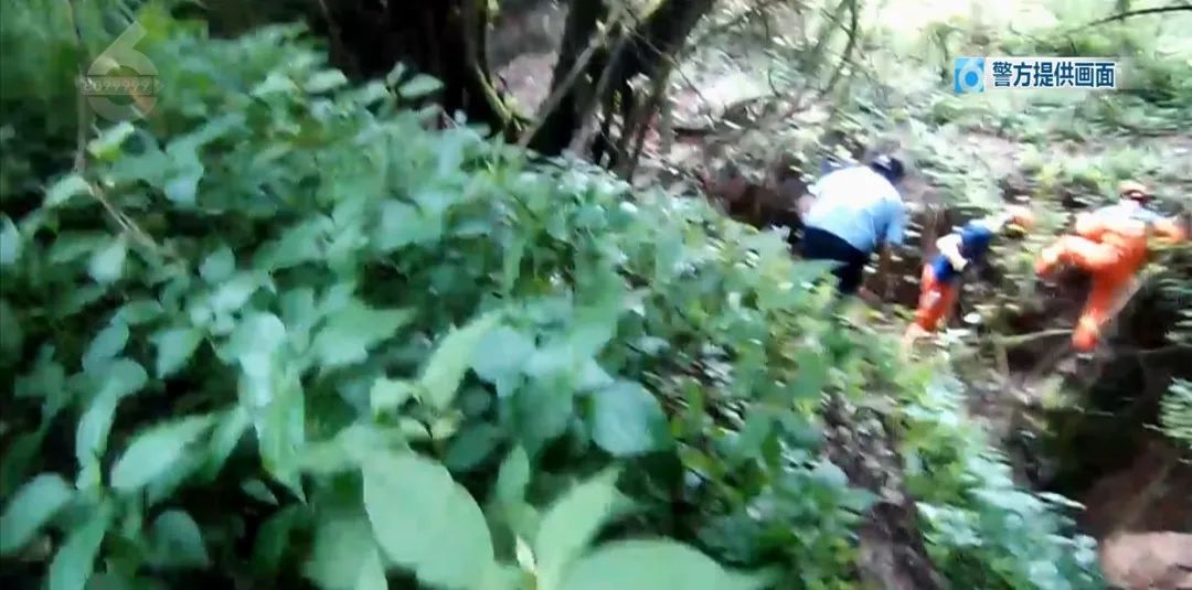 8099999街头巷尾微信