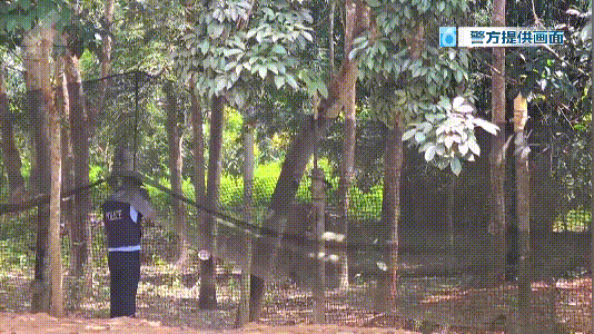 8099999街头巷尾微信