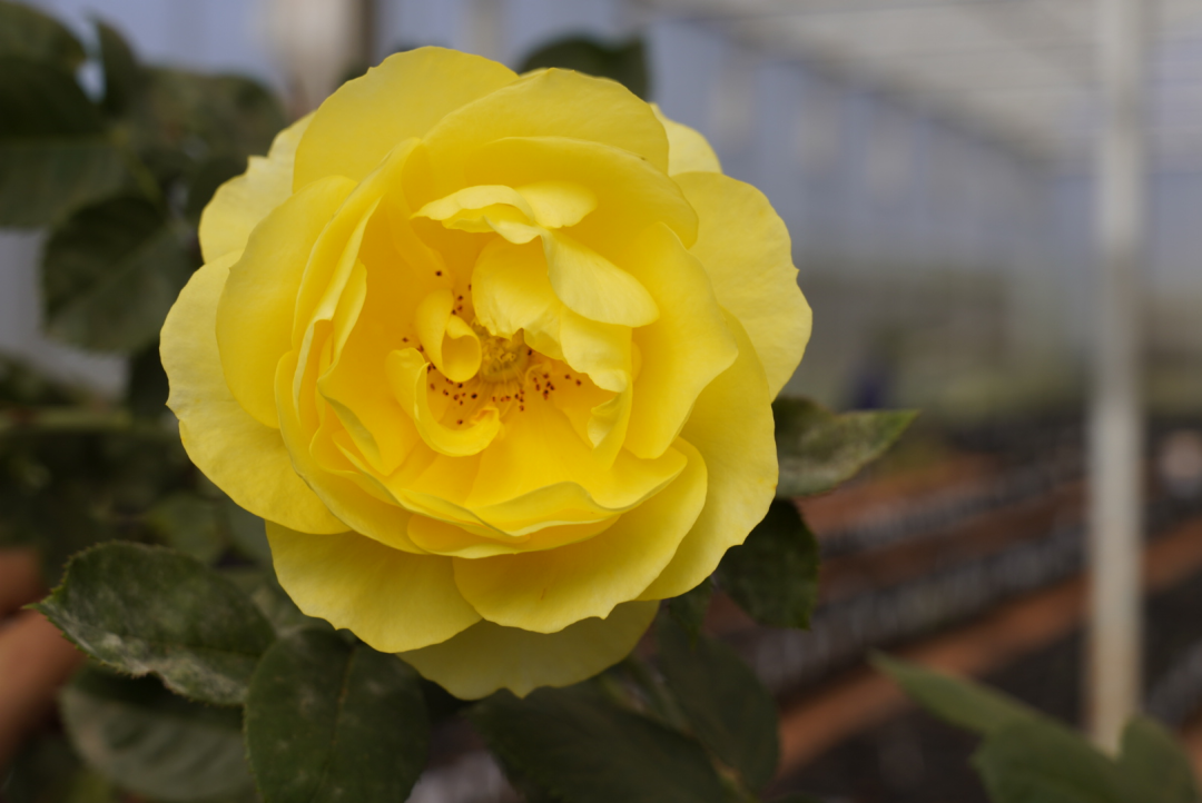 晋宁 诗意的栖居地