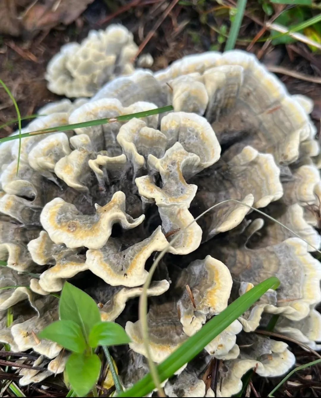 昆明市中医医院