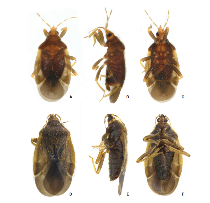 美丽云南微科普