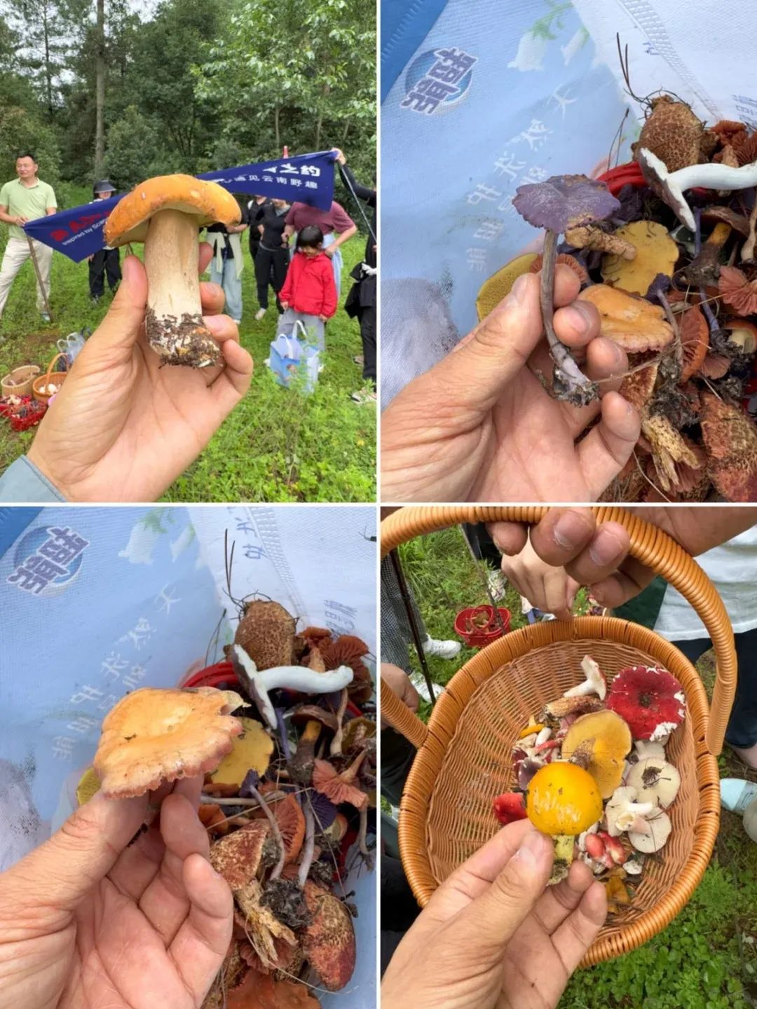 8099999街头巷尾微信