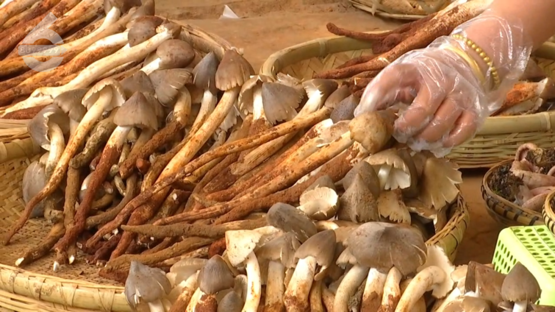 8099999街头巷尾微信