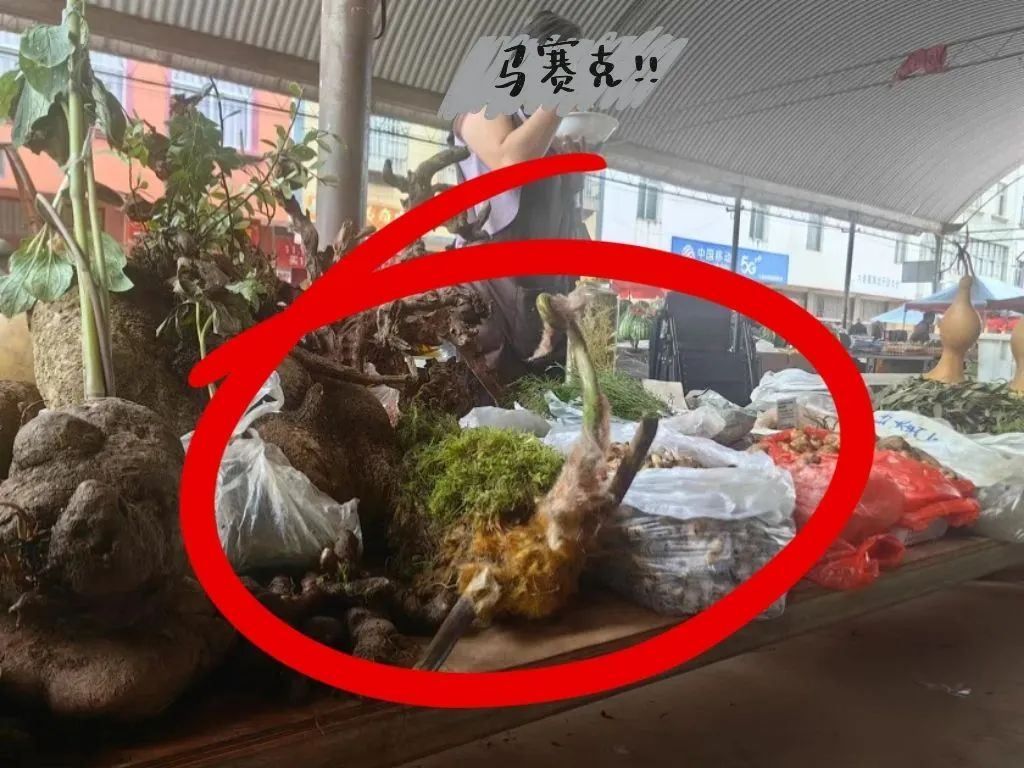 昆明广播电视台经济生活频道