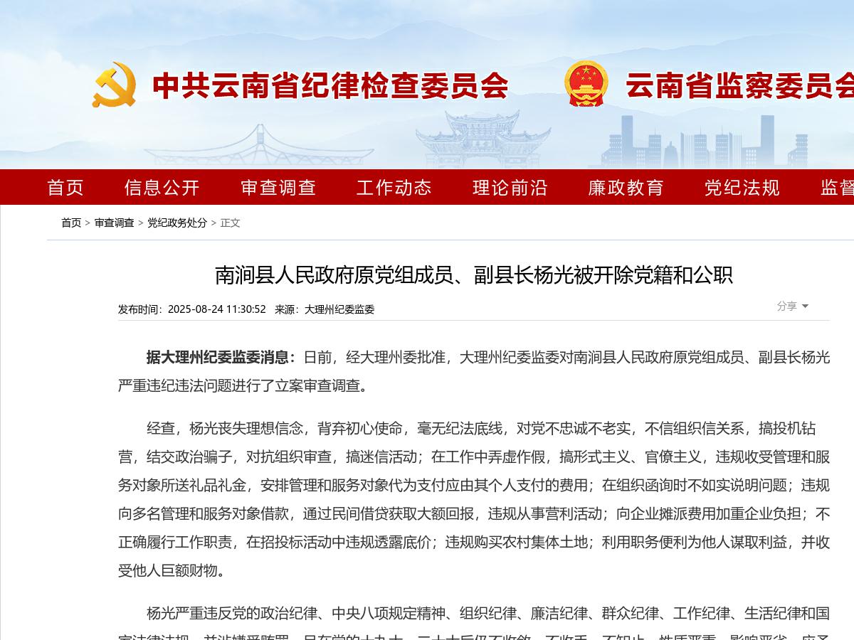 南涧县人民政府原党组成员、副县长杨光被开除党籍和公职
