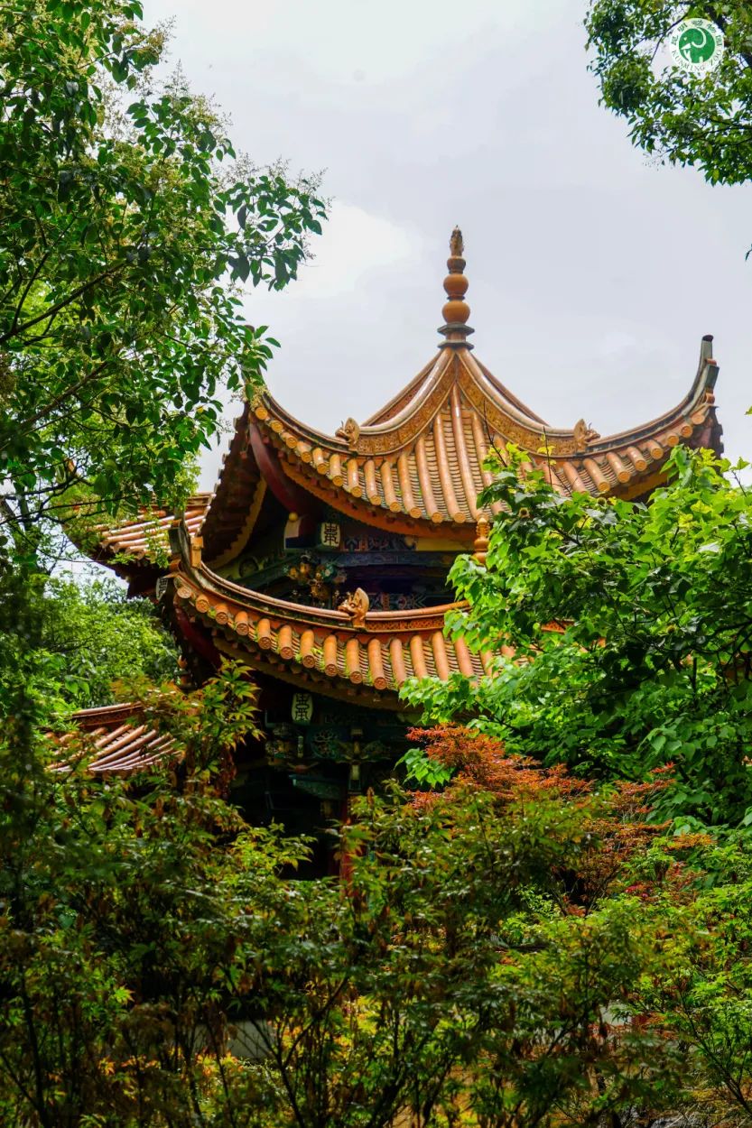 昆明动物园