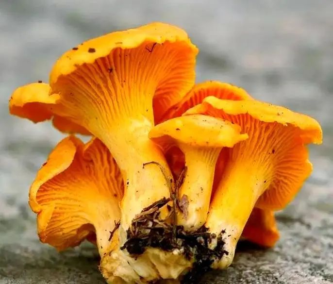 昆明市中医医院