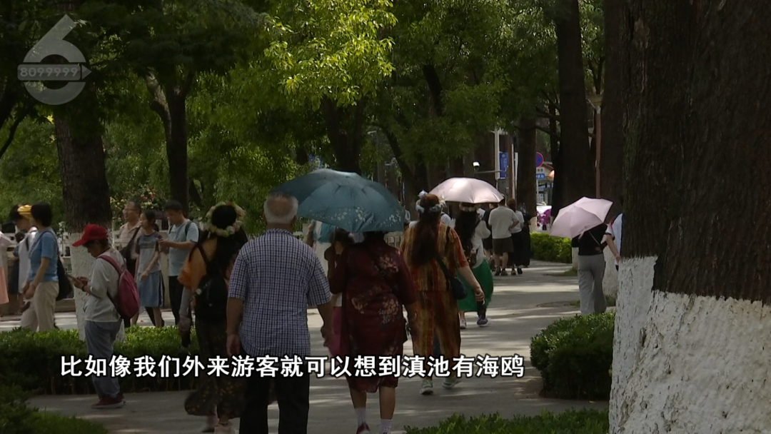 8099999街头巷尾微信