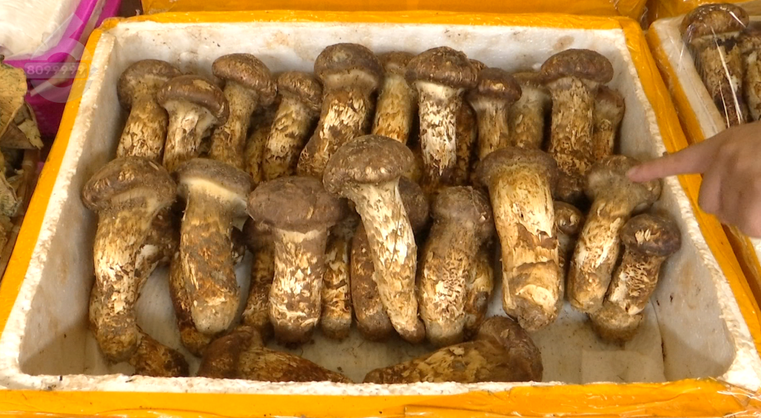 8099999街头巷尾微信