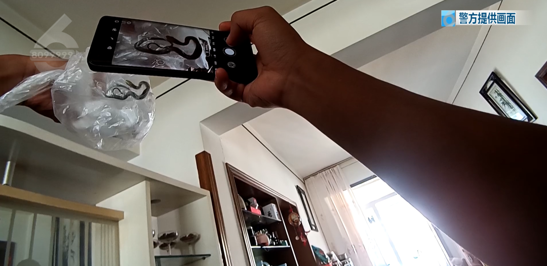 8099999街头巷尾微信