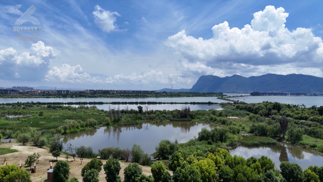 8099999街头巷尾微信