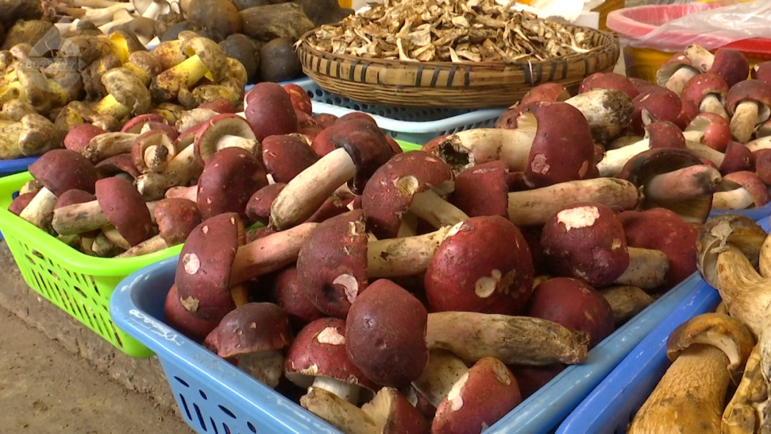 8099999街头巷尾微信