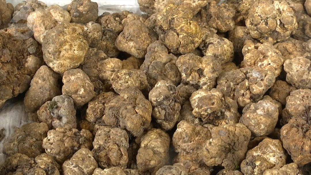 8099999街头巷尾微信