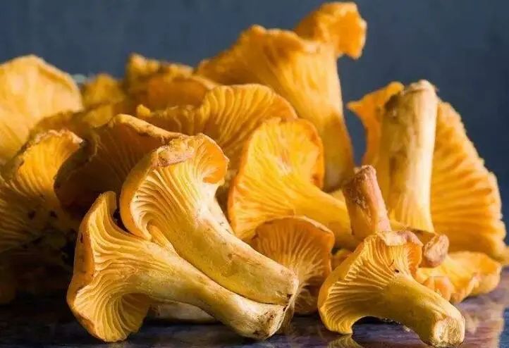 昆明市中医医院