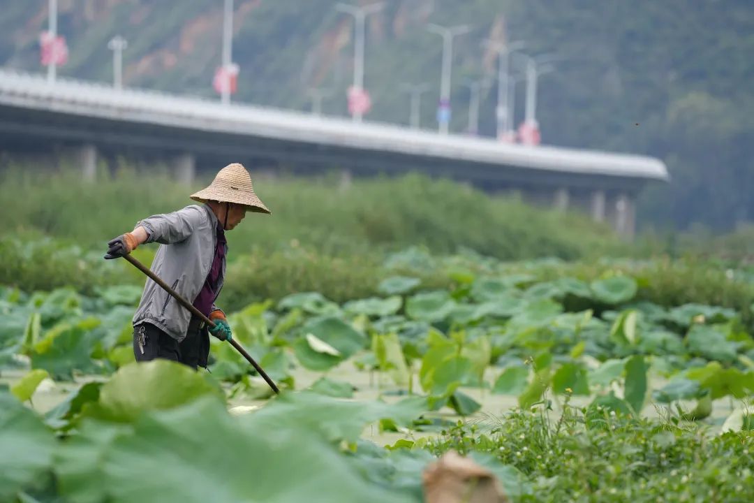 晋宁 诗意的栖居地
