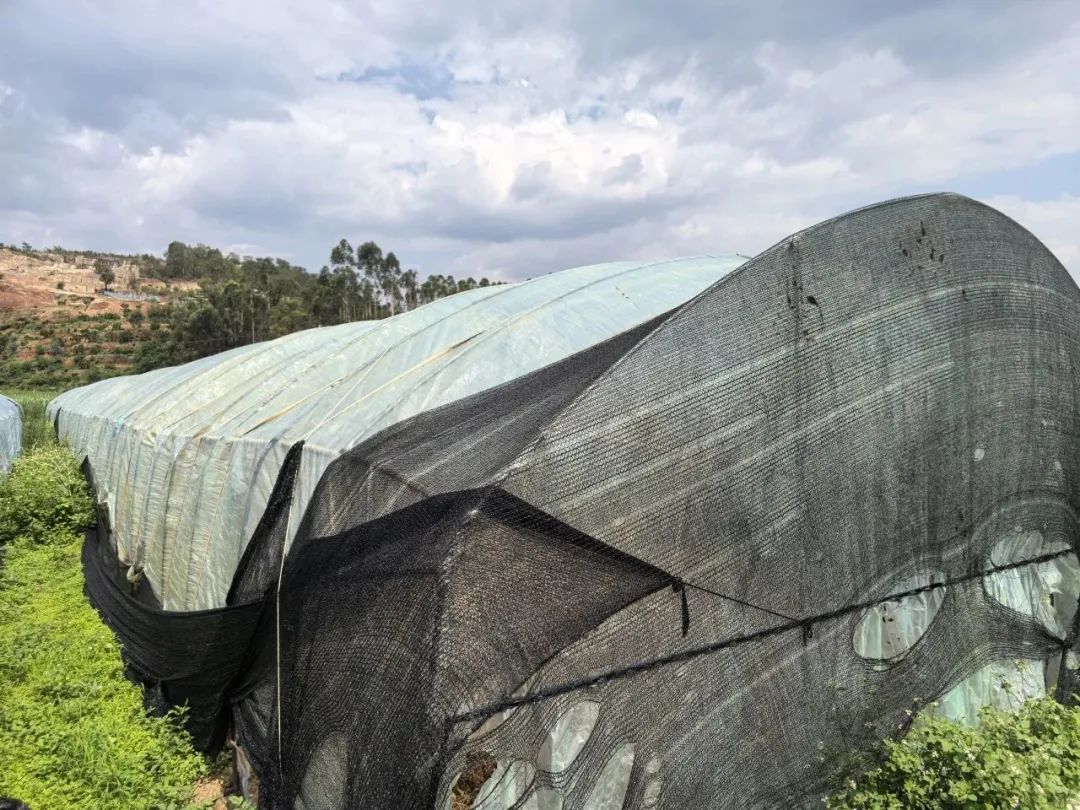 云南省人民检察院